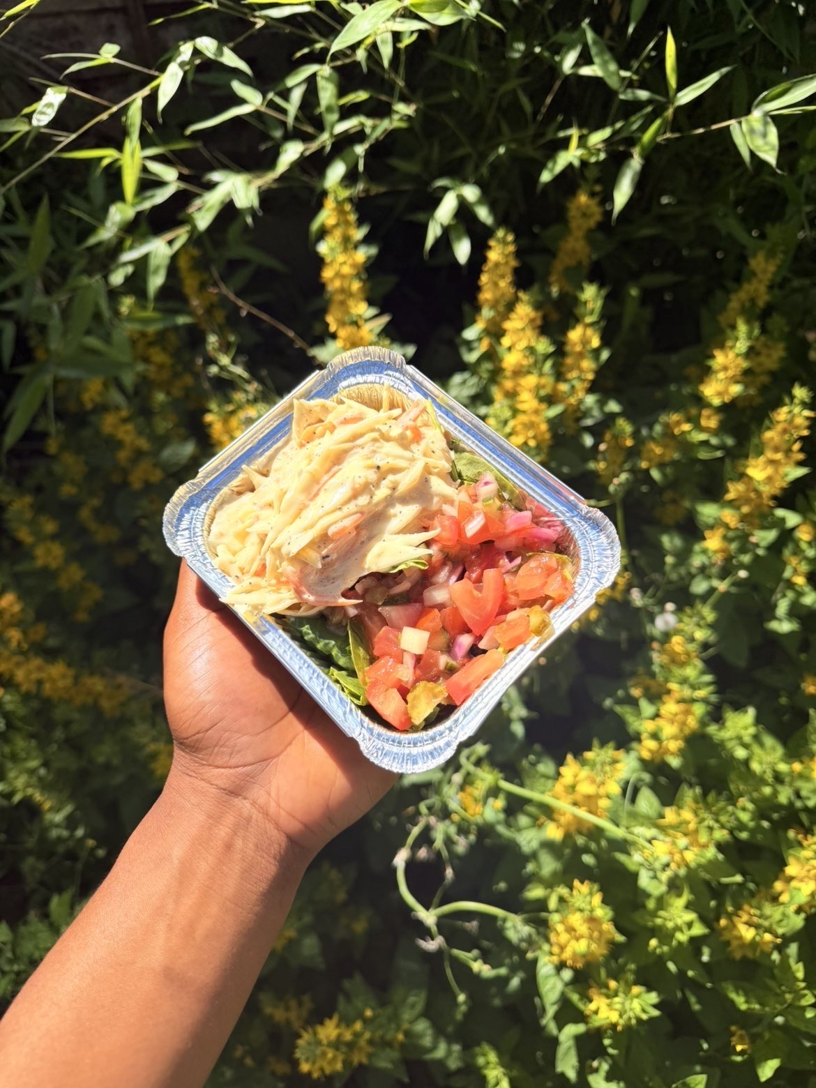 Central Vibes dish