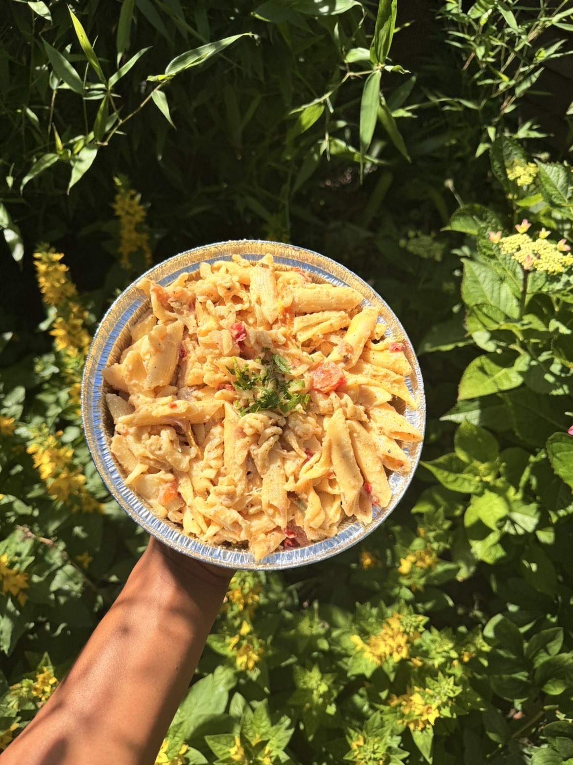 Central Vibes dish