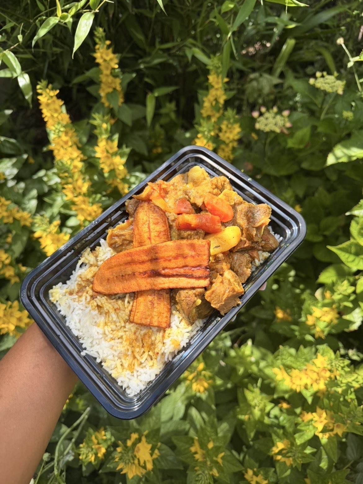 Central Vibes dish