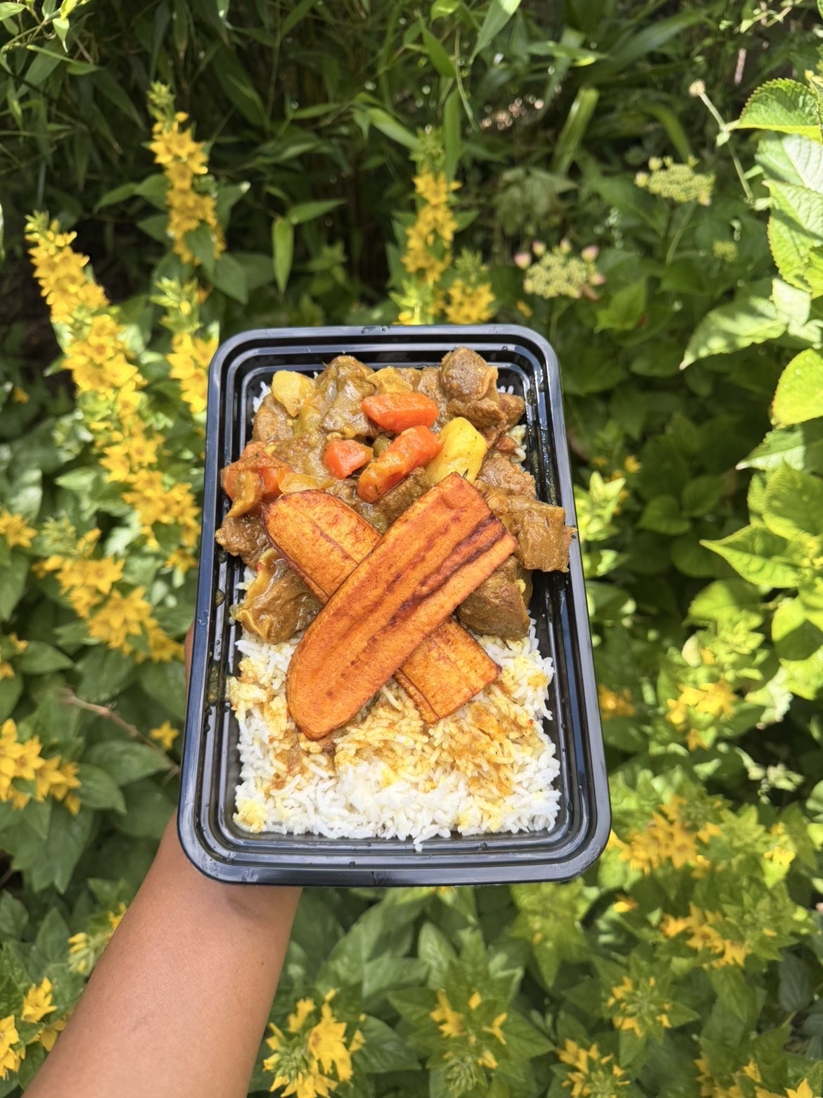 Central Vibes dish
